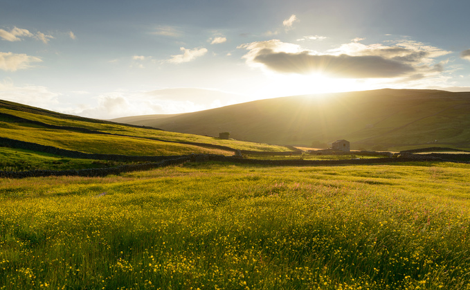 Farmers encouraged to weigh up land use options