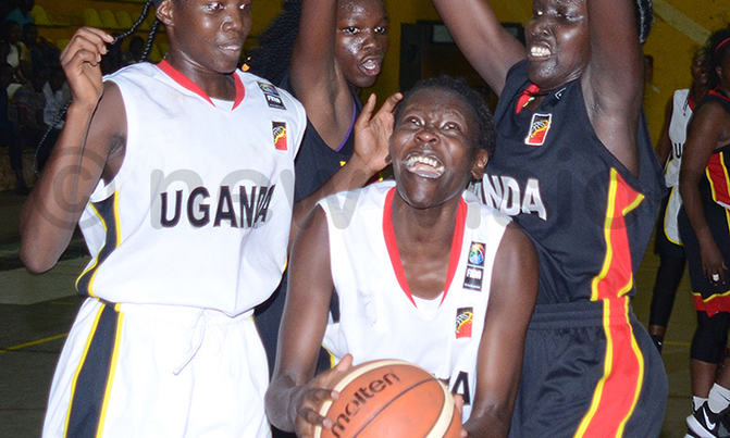 Basketball: Egypt seeks revenge as Zone V qualifiers start Basketball: Egypt seeks revenge as Zone V qualifiers start