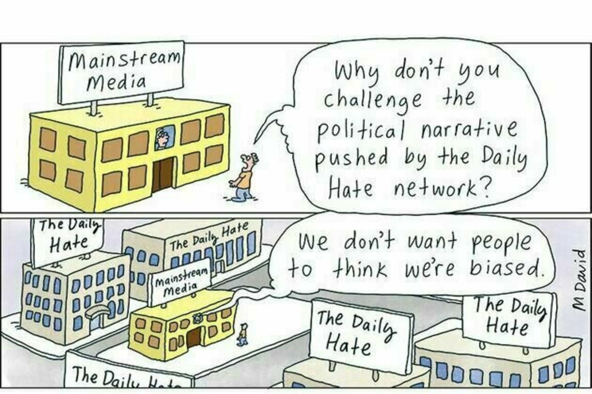 'Lame-stream' media lets Angus Taylor's lies go unchecked