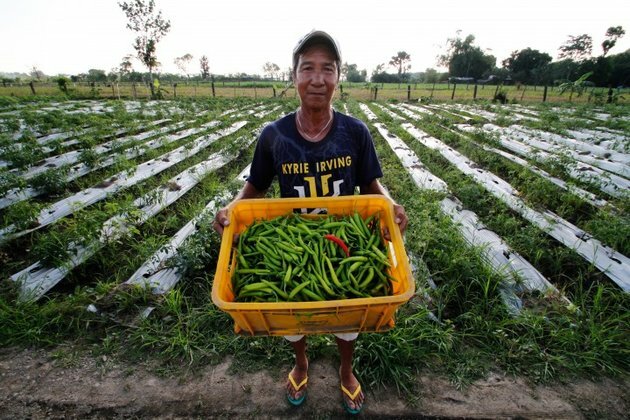 Tarlac boosts agri-tourism