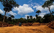 Corporate failure on deforestation putting their net zero goals at risk, report warns