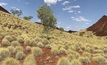  Novo's Pilbara pasture