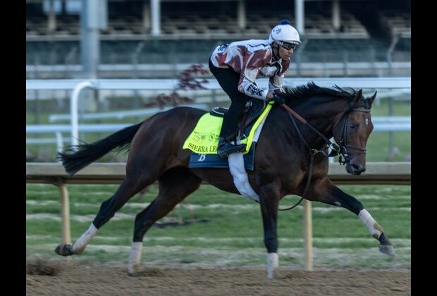 150th Kentucky Derby: Preview, Odds, Prediction