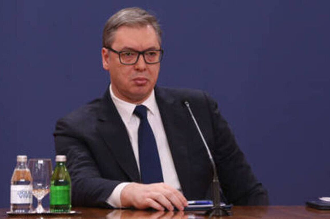 Serbia doesn't need to justify ties with Russia and China - Vucic