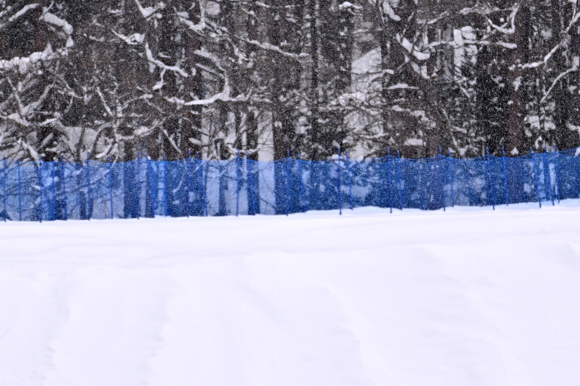 (MICO2026)ITALY-LIVIGNO-OLYMPIC WINTER GAMES-FREESTYLE SKIING-WOMEN'S SKI CROSS-SEEDING