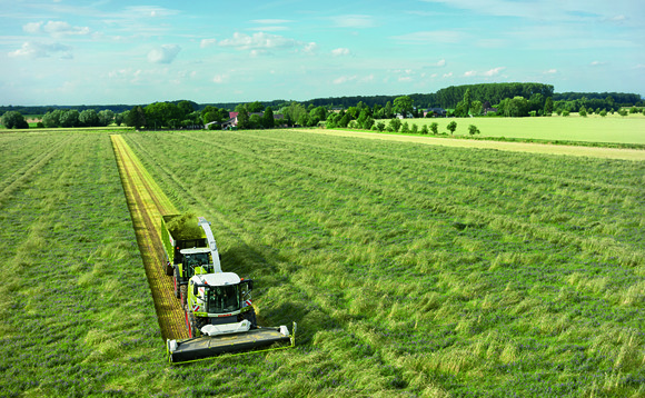 Using wholecrop as an 'insurance policy' for dairy rations