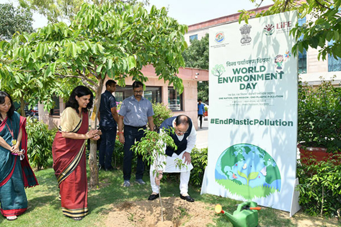 JP Nadda plants sapling under 'Ek Ped Maa Ke Naam' on World Environment Day