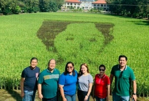 Rice paddy art to boost farm tourism in Ilocos Norte