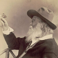 Like today's selfie-takers, Walt Whitman used photography to curate his image - but ended up more lost than found