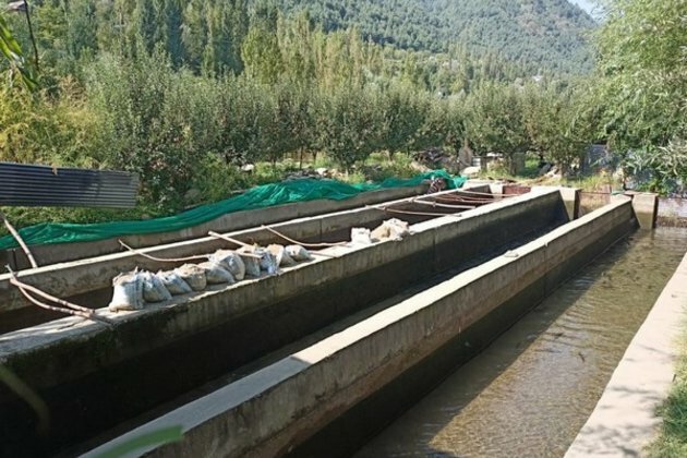 Sunshines on Fish Farming in J-K's Bandipora; lucrative employment choice for youth