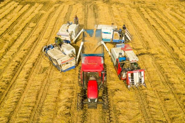 (China Economic Roundtable) Xinhua Headlines: China's new push for rural reform, revitalization