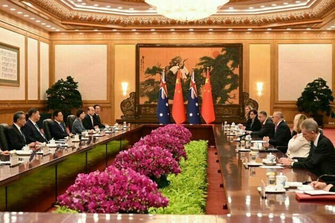 President Xi Jinping tells Albanese China ready to 'push the bilateral relationship further'