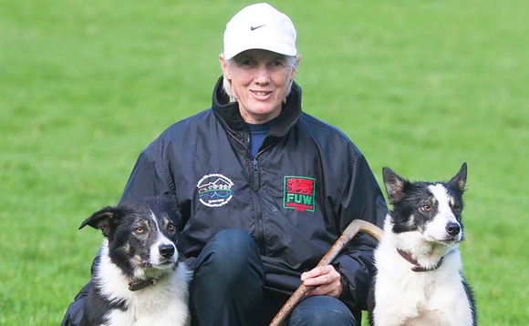 Backbone of Britain: Dedicated to helping young sheepdog handlers  new academy launched