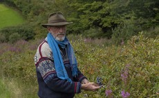 How an abandoned crop led the way to blueberry farming success on Exmoor