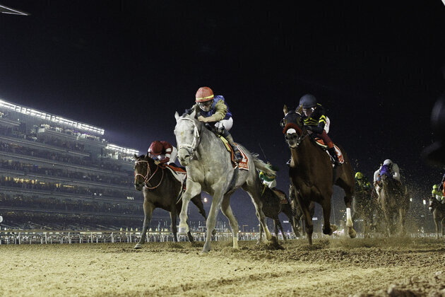 100 horses to compete in 30th Dubai World Cup tomorrow