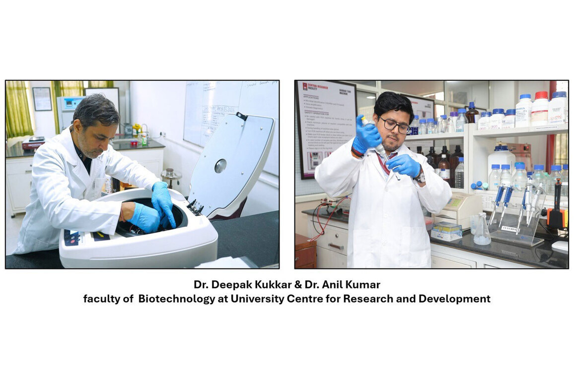 Chandigarh University Biotechnology Scientists Faculty Secure Rs 1.16 Crore Government Grants from ICMR and ANRF for Mustard Yield and Diabetic Kidney Disease Research