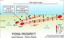 Fiona prospect long section showing drill hole pierce points