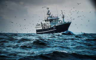 'Concerning news': Marine Conservation Society confirms drop in sustainability rating for key fisheries