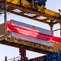 CHINA-SHANGHAI-TESLA-MEGAPACK BATTERY (CN)
