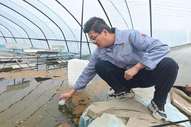 Malaysian firm thrives in China's saline-alkali soil