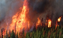 About 160 fires are currently burning in the British Columbia interior