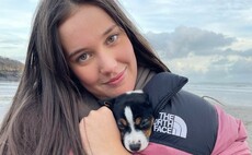 Young farmer dies in collision after attending Royal Welsh Show