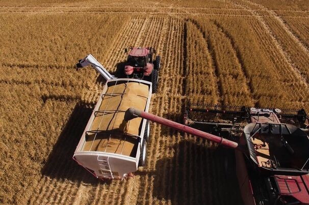ABARES predicts farm profits will drop significantly in 2026-27. 