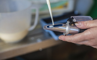 Colostrum management: Latest research on handling and storage for dairy farmers