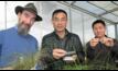  NSW Department of Primary Industries scientists, Drs David Gopurenko, Hanwen Wu and Aisuo Wang have developed a field kit to identify invasive weeds in their early growth stages. Picture courtesy NSW DPI.