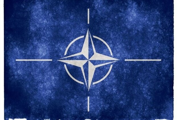 Ukraine eyes country's accession to NATO next year