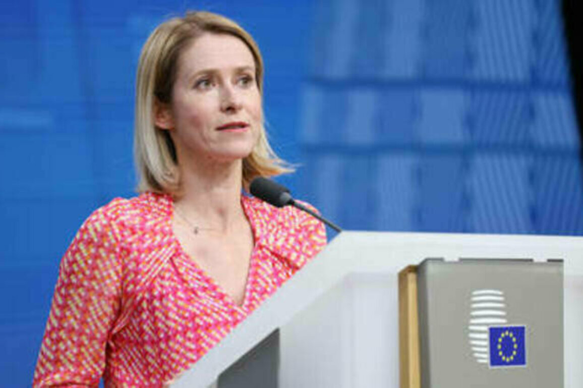 Ties with Moscow key stumbling block for EU-India trade deal - Kallas