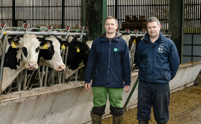 The Pratt family at Studdah Farm milk 140 pedigree Holsteins, split into high-yield and low-yield groups.