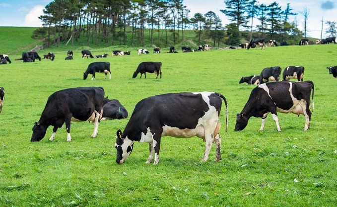 Dairy matters: Critical 'how to' gaps in net zero carbon mission