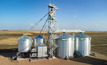 Maximise your profits by protecting your grain