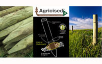 M&M Timber's Agricised is outstanding in the field
