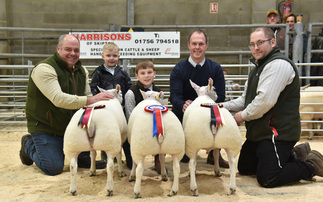 Skipton champion lambs sell for a record breaking £800/head