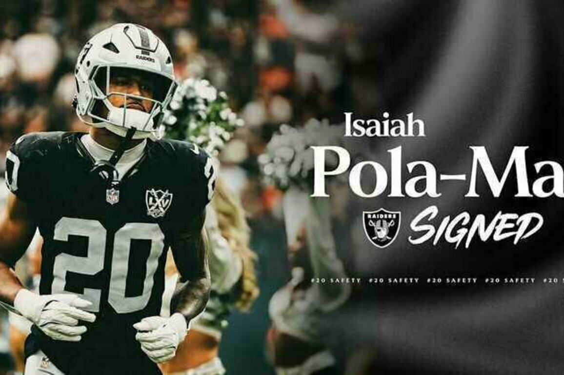 Raiders sign S Isaiah Pola-Mao