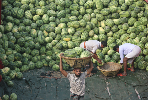 BANGLADESH-DHAKA-WATERMELON-HARVEST