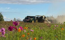 'Farm of the Future' launched to trial farm-scale regenerative potatoes
