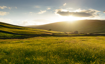 Farmers encouraged to weigh up land use options