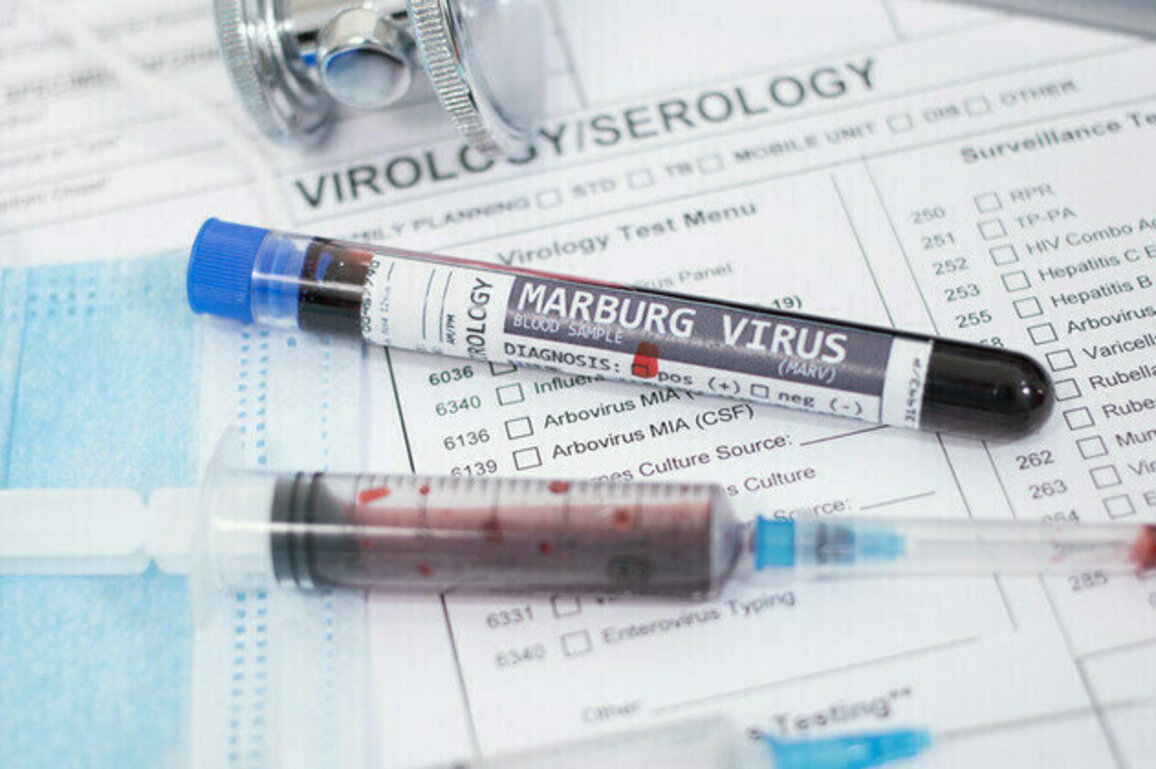 Ethiopia confirms first deadly Marburg virus outbreak