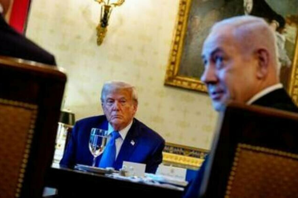 Trump yelled at Netanyahu for dismissing Gaza starvation - media