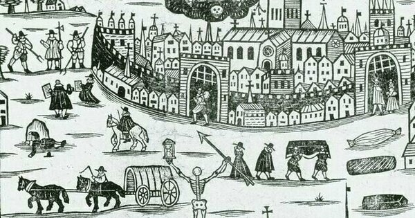 Medieval skeletons reveal the lasting damage of childhood malnutrition ...