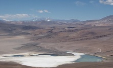 The Maricunga Salar in Chile