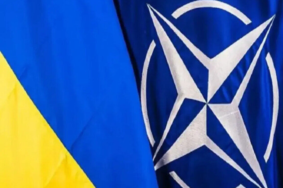 Ukraine Has Alternatives To Formal NATO Membership