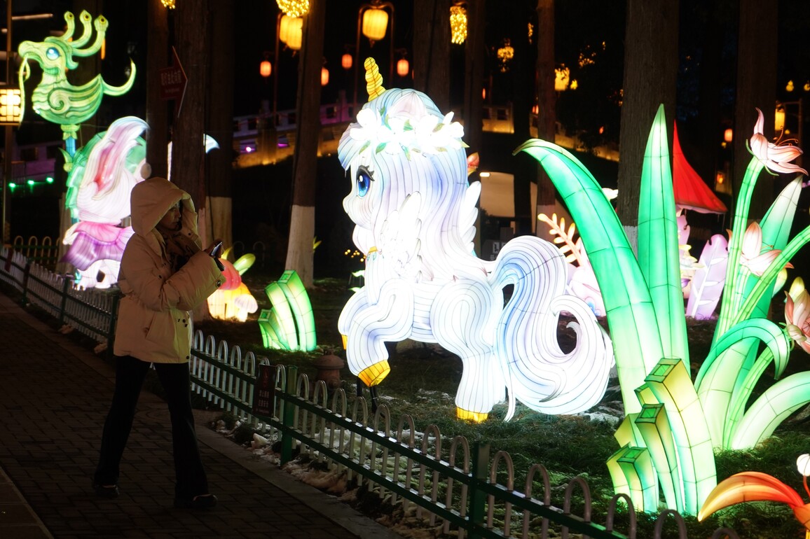 CHINA-JIANGSU-NANJING-LANTERN FESTIVAL (CN)