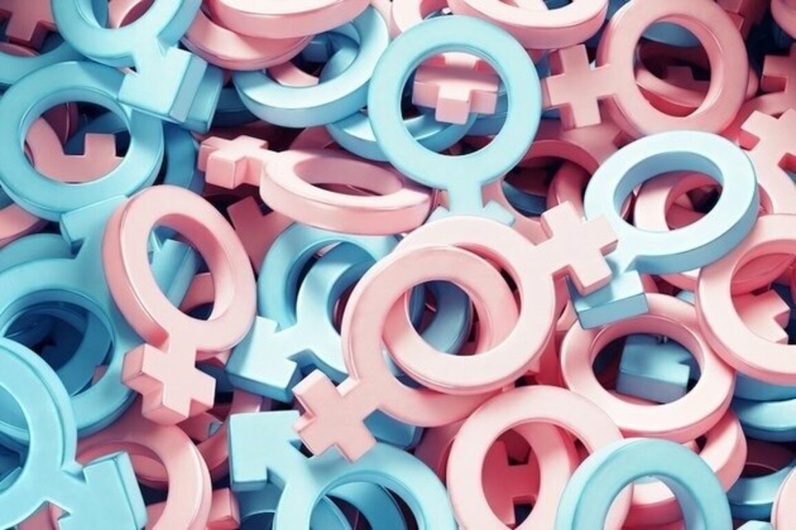 Rethinking Sex: Intersex and Transgender Politics in Shia Islam