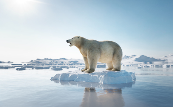 COP26: Can we trust climate pledges amid asset manager scramble?