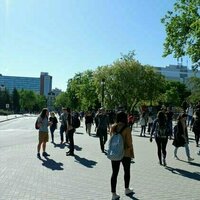 Why international students could be a critical factor in bolstering Canada's economic resilience