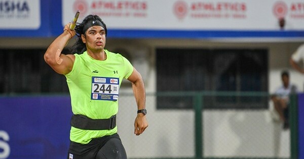 Poland Sun - Sports - News Image